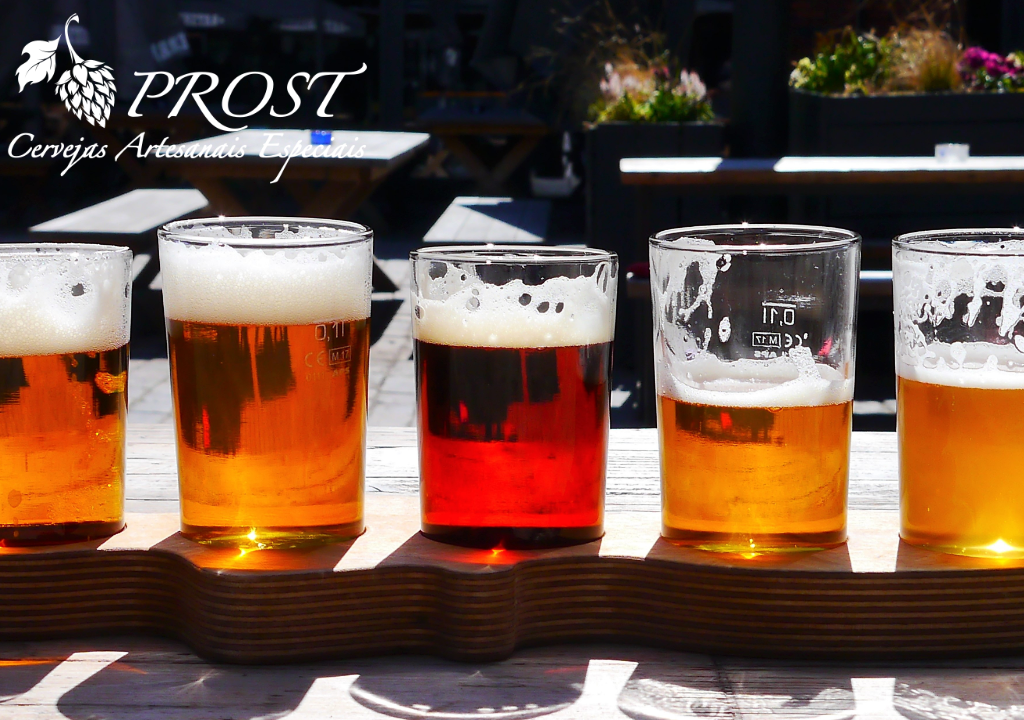 No momento, você está visualizando Opções Para Todos: Diversidade de Estilos Cervejeiros